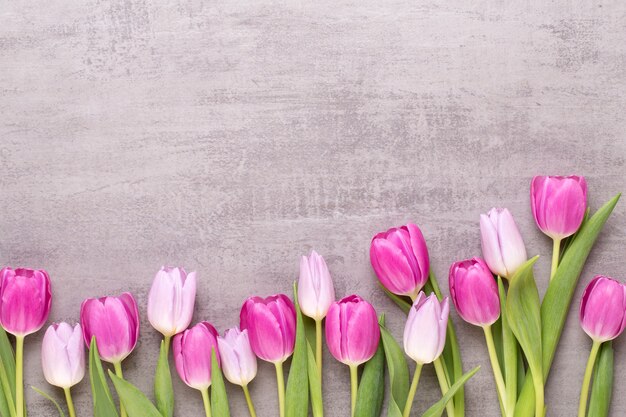 Fiori di primavera, biglietto di auguri di San Valentino, fiori di colore pastello su sfondo grigio.