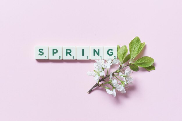 Fiori di primavera con piastrelle scrabble su sfondo rosa