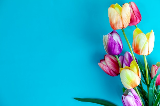 Fiori di primavera di fiori di tulipani su sfondo blu