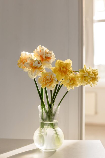 Fiori di primavera di narcisi in un vaso