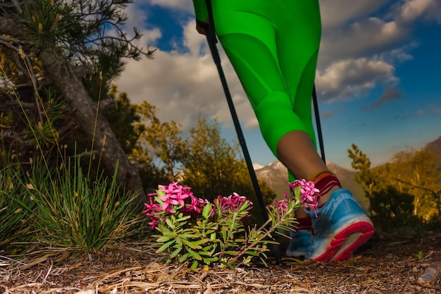 Fiori di primavera in montagna su un sentiero escursionistico quando passa un trekker