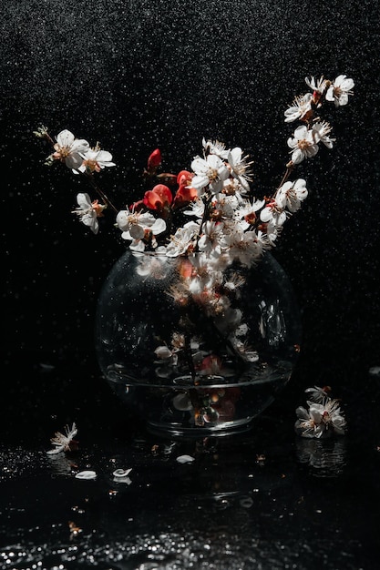Fiori di primavera in un vaso su uno sfondo scuro gocce di pioggia