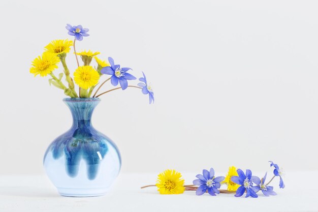 Fiori di primavera in vaso su sfondo bianco