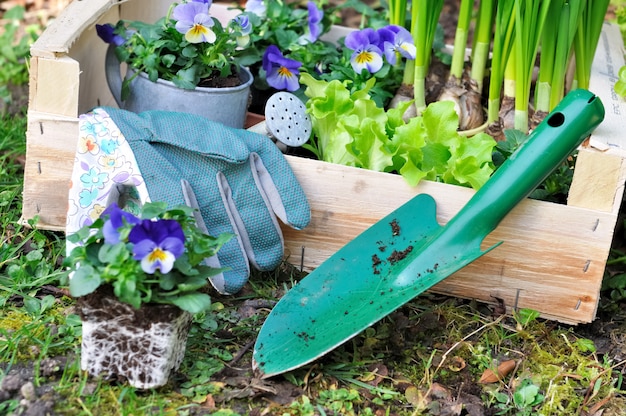 Fiori di primavera in vassoio di legno