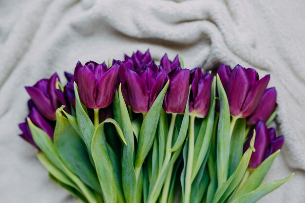 Fiori di primavera, mazzo di tulipani viola sul plaid beige.