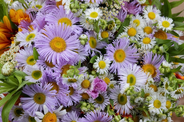 Fiori di primavera sfondo closeup Bellissimo fiore sfondo astratto della natura