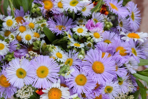 Fiori di primavera sfondo closeup Bellissimo fiore sfondo astratto della natura