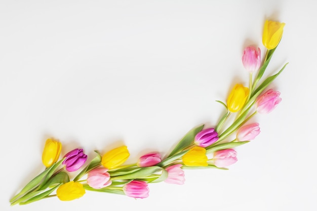 Fiori di primavera su sfondo bianco