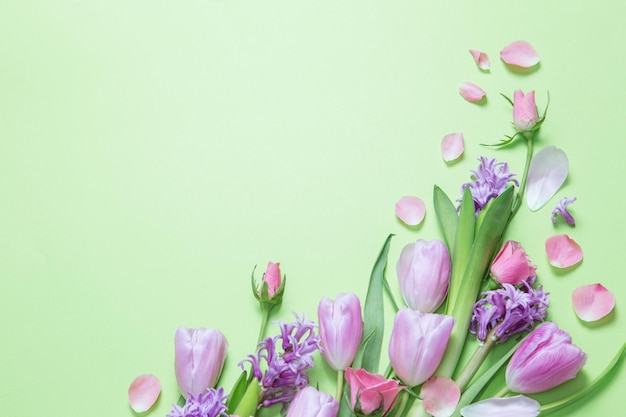 fiori di primavera su sfondo di carta verde