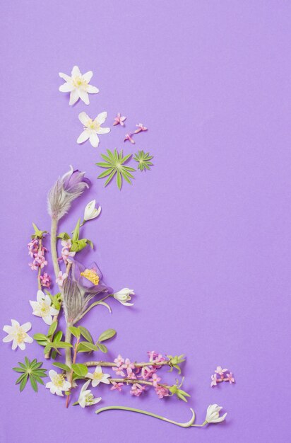 Fiori di Primavera su sfondo viola