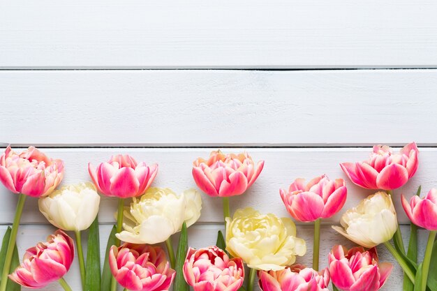 Fiori di primavera. Tulipani su sfondo di colori pastello. biglietto di auguri in stile vintage retrò. Festa della mamma, biglietto di auguri di Pasqua.