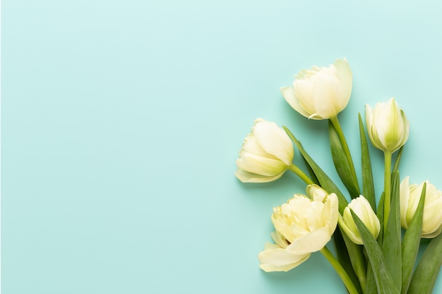 Fiori di primavera. Tulipani sulla cartolina d'auguri di colori pastello Stile vintage retrò. Festa della mamma, biglietto di auguri di Pasqua.