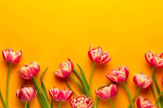 Fiori di primavera. Tulipani sulla cartolina d'auguri di colori pastello Stile vintage retrò. Festa della mamma, biglietto di auguri di Pasqua.