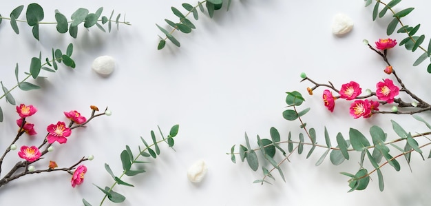 Fiori di prugna rossa su ramoscelli foglie di eucalipto fresche Design per il capodanno cinese Immagine banner panoramica Vista dall'alto panorama su sfondo bianco sporco