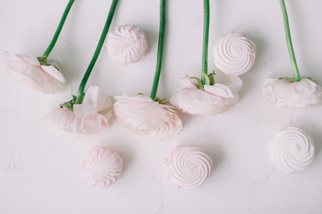 Fiori di rosa rosa e marshmallow su una superficie bianca