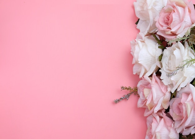 Fiori di rosa rosa pastello isolati sul colore rosa