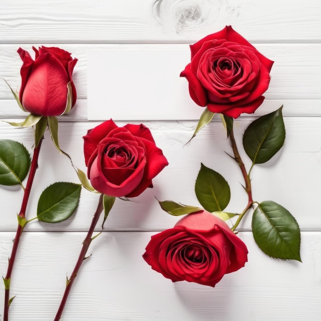 Fiori di rosa rossa su sfondo di legno bianco Cartolina di auguri romantica per il giorno di San Valentino