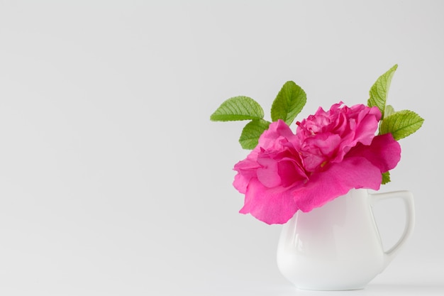 Fiori di rosa selvaggi in un vaso chiaro su una luce