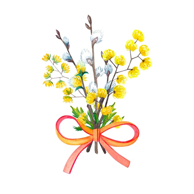 Fiori di salice e mimosa ad acquerello con fiocco Disegnare a mano illustrazioni su sfondo bianco
