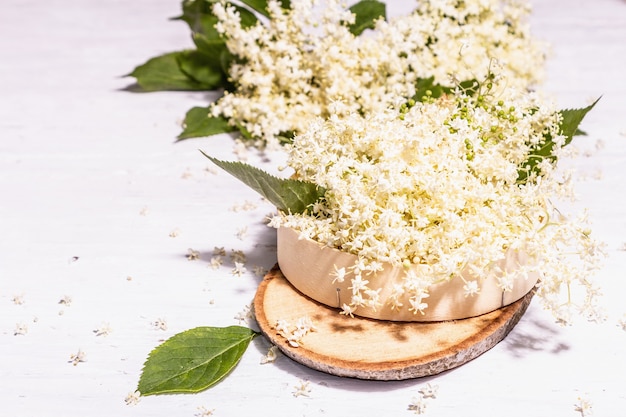 Fiori di sambuco freschi. Ingrediente per il concetto di cibo sano. Luce dura alla moda, ombra scura. Vecchie tavole di legno bianche sullo sfondo, copia spazio