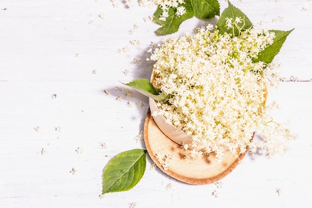 Fiori di sambuco freschi. Ingrediente per il concetto di cibo sano. Luce dura alla moda, ombra scura. Vecchio fondo di tavole di legno bianco, vista dall'alto