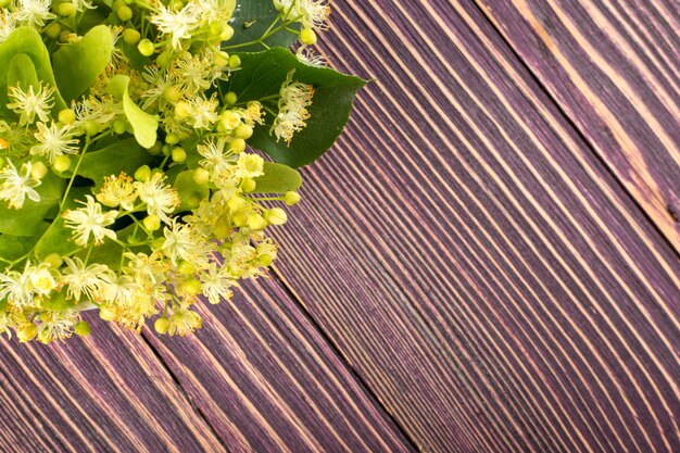 Fiori di tiglio sul tavolo di legno