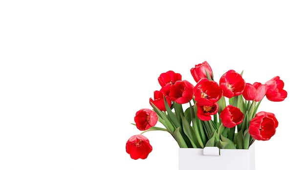 Fiori di tulipani rossi con una scatola isolata in sfondo bianco