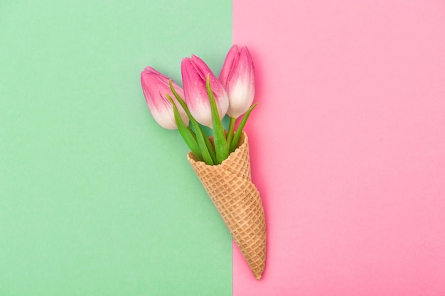 Fiori di tulipano in cono gelato su sfondo colorato Concetto di primavera