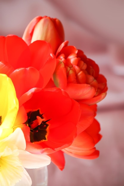 Fiori di tulipano rosso vicino Bouquet in un vaso