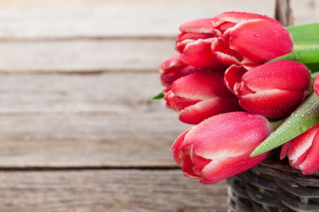 Fiori di tulipano rosso