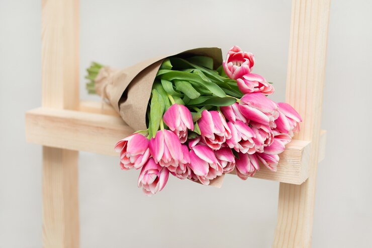Fiori di tulipano
