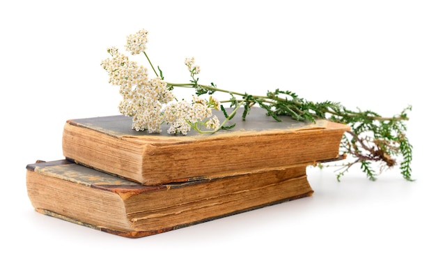 Fiori di Yarrow e due libri isolati