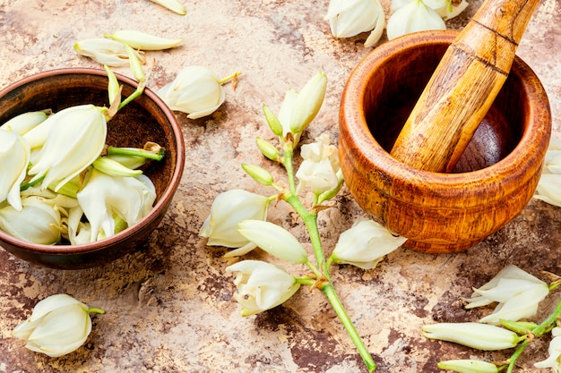 Fiori di yucca in medicina.