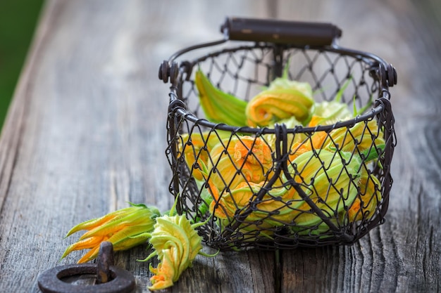 Fiori di zucca freschi nel vecchio piccolo cestino