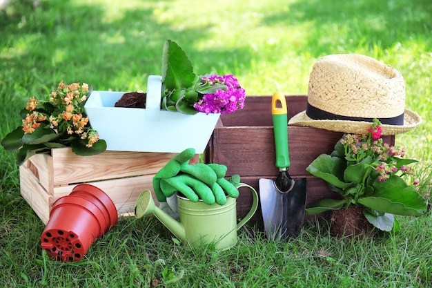 Fiori e attrezzi da giardinaggio all'aperto