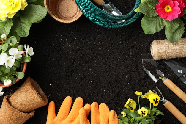 Fiori e attrezzi da giardinaggio su suolo, spazio per testo