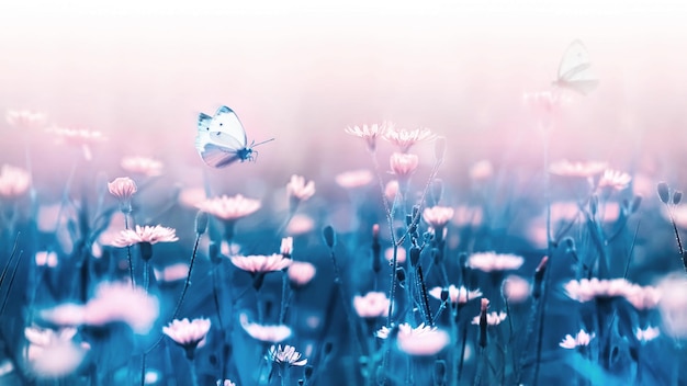 Fiori e farfalle rosa della foresta su uno sfondo di foglie e steli blu