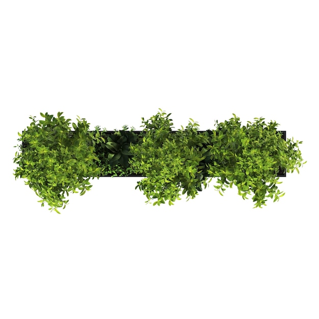 fiori e piante decorativi per la vista superiore interna isolata su priorità bassa bianca 3D