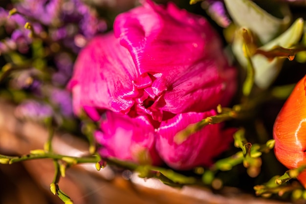 Fiori e piantine differenti vicino al concetto di pasqua di tempo primaverile dell'entrata del negozio di fiori del fiorista