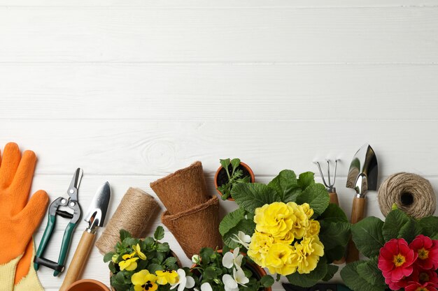 Fiori e strumenti di giardinaggio su fondo di legno, spazio per testo