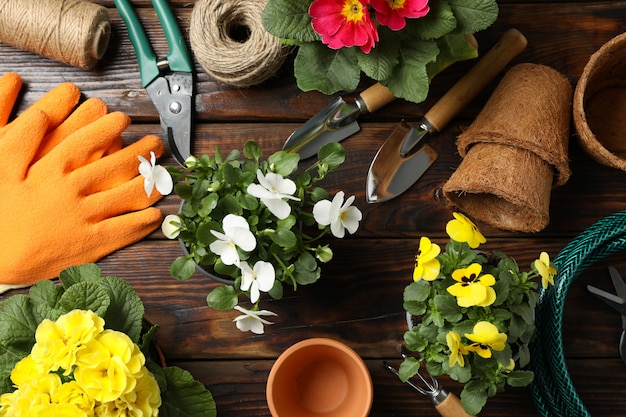 Fiori e strumenti di giardinaggio sulla tavola di legno, vista superiore