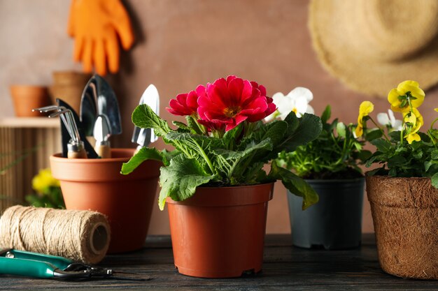 Fiori e strumenti di giardino sulla tavola di legno, fine su