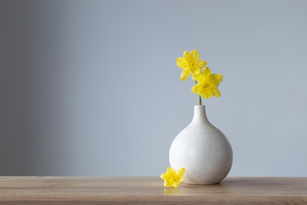 Fiori estivi gialli in vaso bianco su sfondo grigio