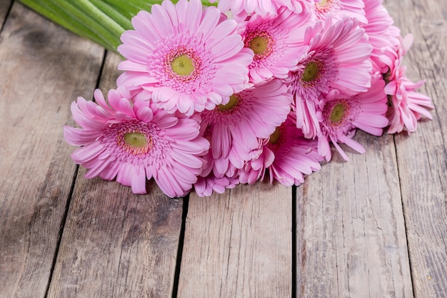 Fiori freschi della gerbera su legno