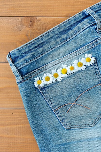 Fiori freschi della margherita bianca nella tasca dei jeans.