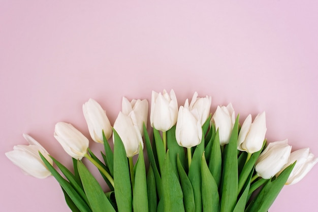 Fiori freschi della primavera dei tulipani bianchi