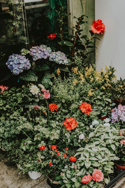 Fiori freschi primaverili per strada