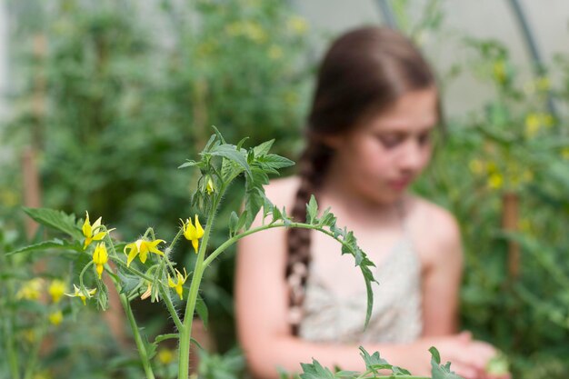 Fiori gialli di pomodoro sulla pianta con una bella ragazza sfocata sullo sfondo del giardino