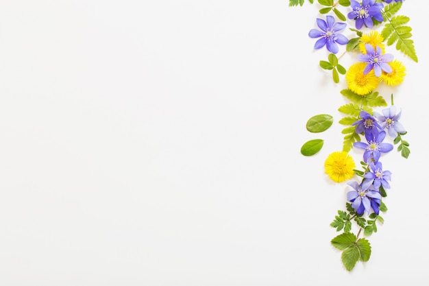 Fiori gialli e viola della primavera su fondo di carta