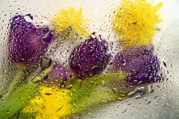 fiori gialli e viola dietro il vetro con texture di gocce d'acqua